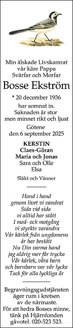 Nya Lidköpings-Tidningen