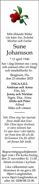 Nya Lidköpings-Tidningen